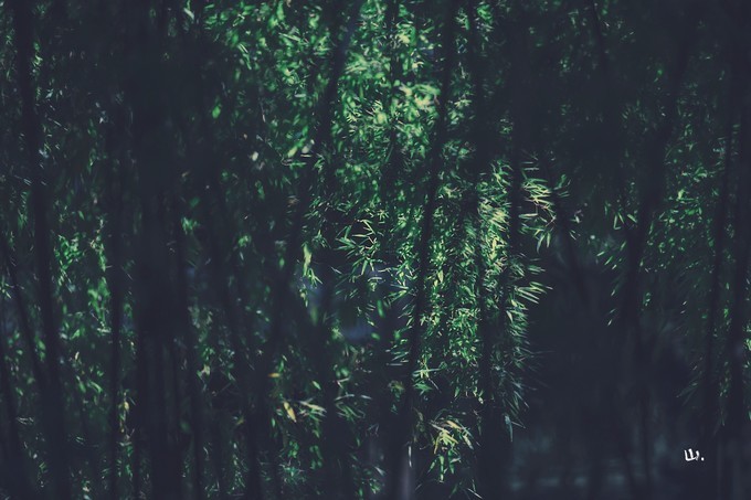 心中有桃花源何处都是山水间,心中若有桃花源何处是水云间