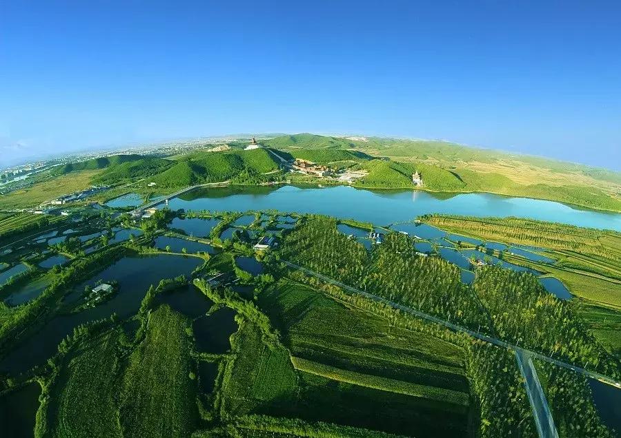 消夏季|我劝你哪凉快哪待着去！