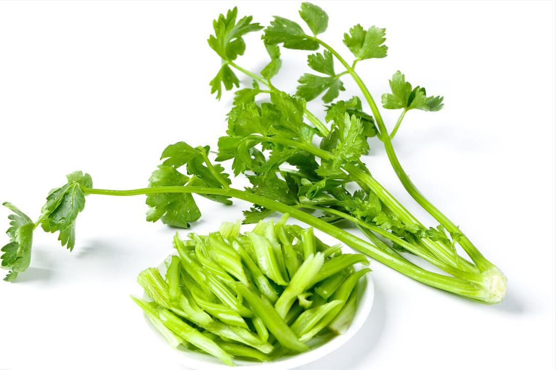 购买芹菜细梗好还是粗梗好,芹菜一般买多少合适