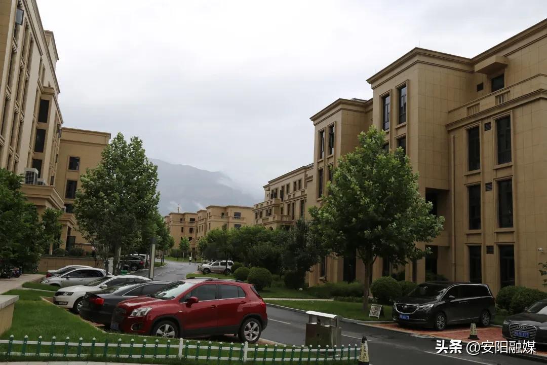 万人助万企活动开展情况汇报,万人助万企活动案例