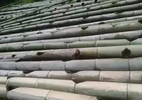 适合45至55岁创业项目小龙虾养殖,养殖小龙虾前景怎样