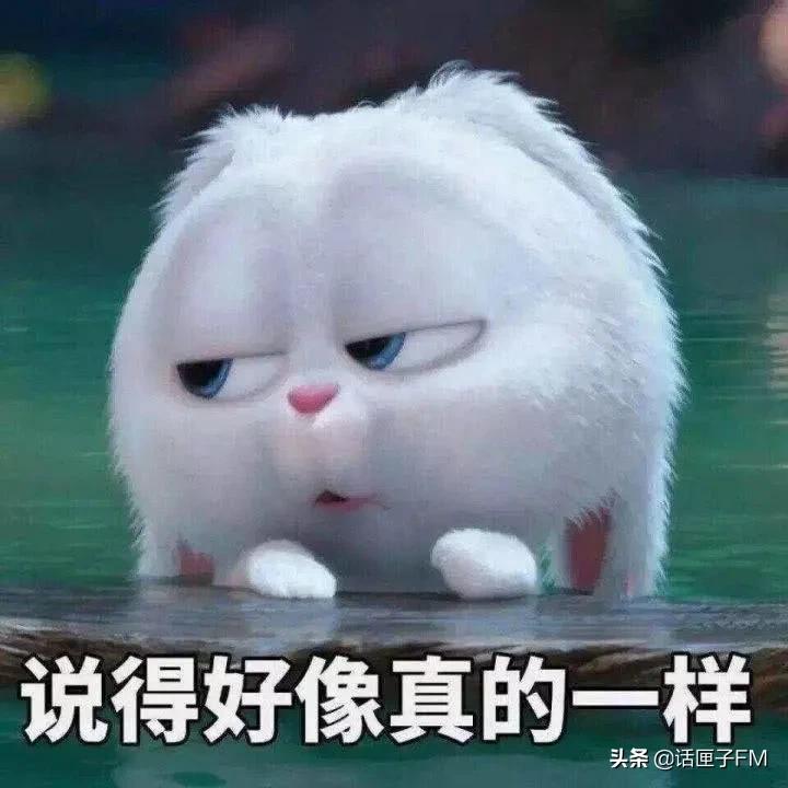 片仔癀和茅台,片仔癀真的能超越茅台吗