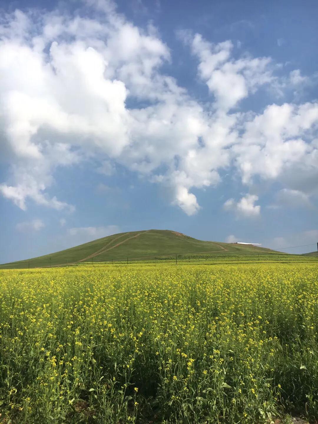 张北天路乌兰布统攻略,天津张北草原天路自驾游攻略