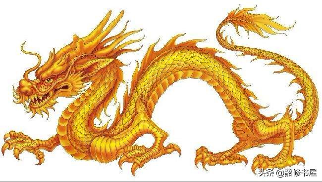 华夏民族图腾大全,华夏龙图腾原视频