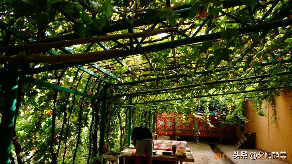 大美新疆葡萄沟,大美新疆享受视觉盛宴