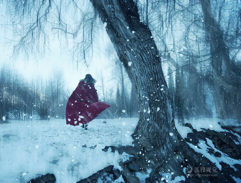 风雪夜归人诗句大全,风雪夜归人的原创诗词