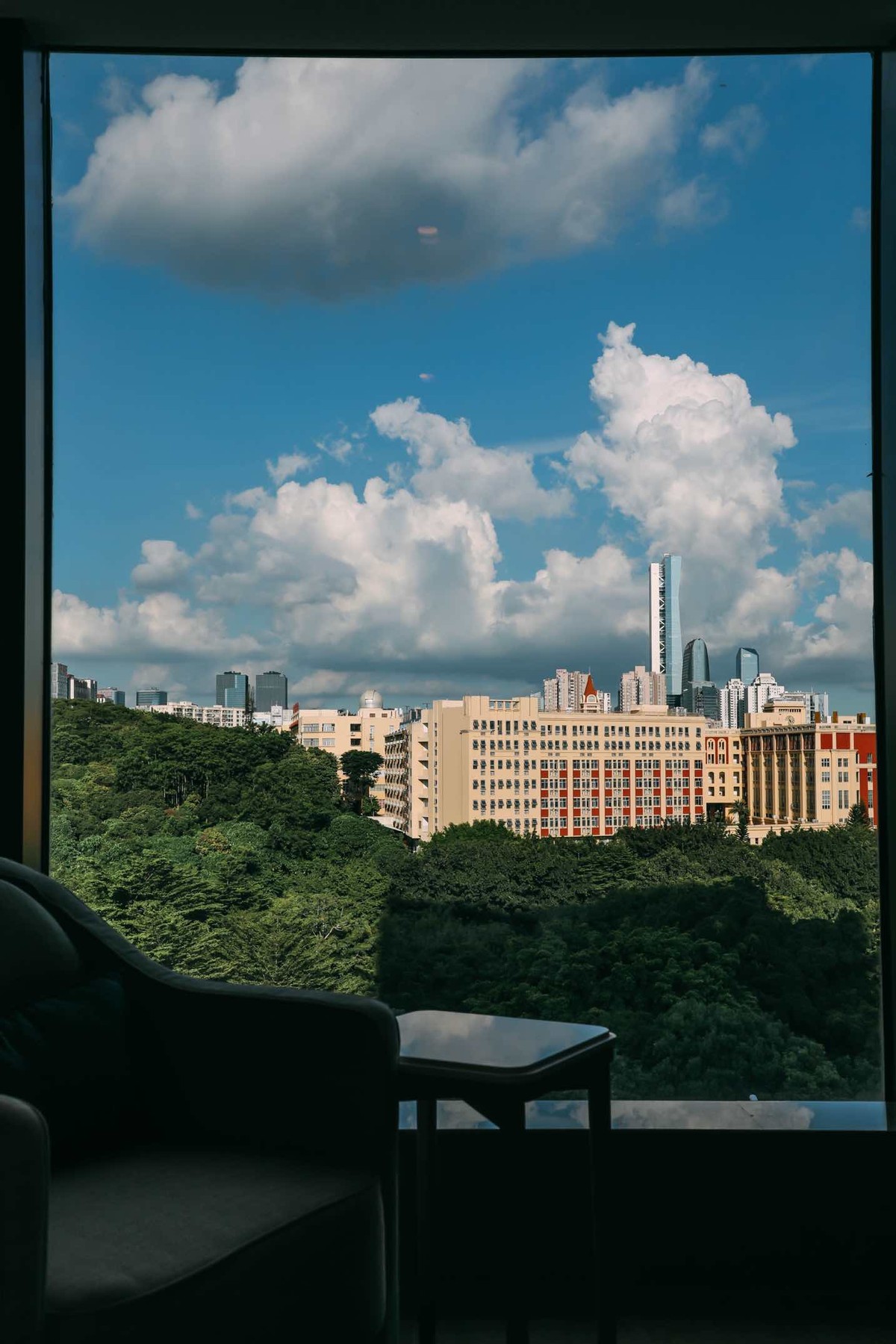 深圳南山希尔顿逸林酒店一室一厅,南山希尔顿逸林酒店介绍