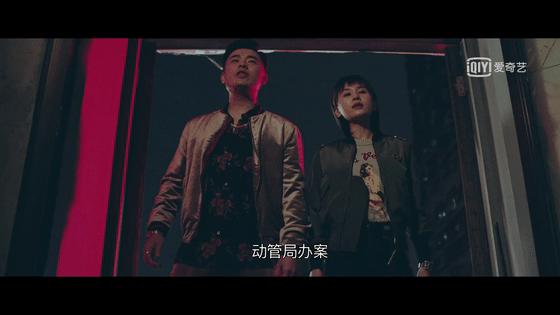 动物管理局陈赫王子文搞笑花絮,动物管理局陈赫用心灵分辨王子文