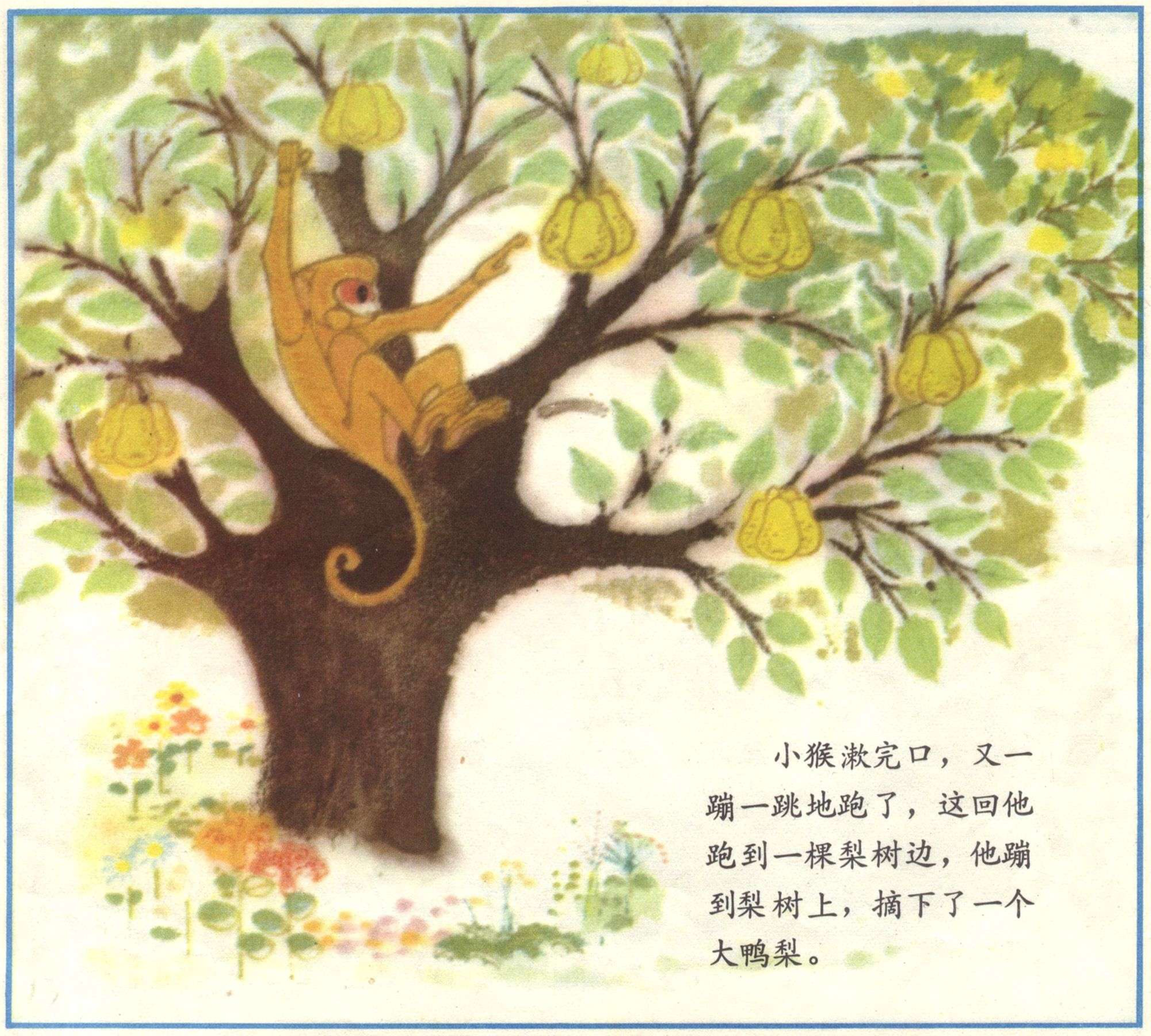 小猴吃瓜果连环画,小猴吃瓜果儿童画
