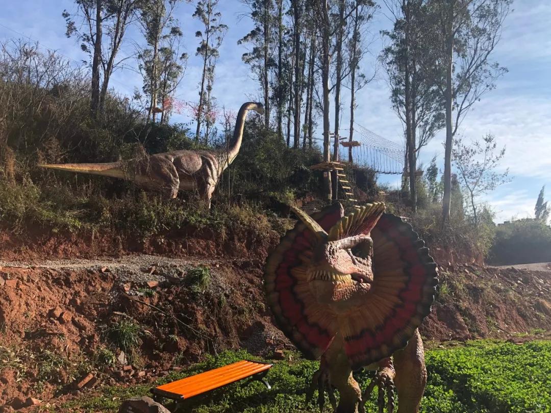 昆明亲子游户外旅行地,昆明周边户外游玩景点推荐带孩子