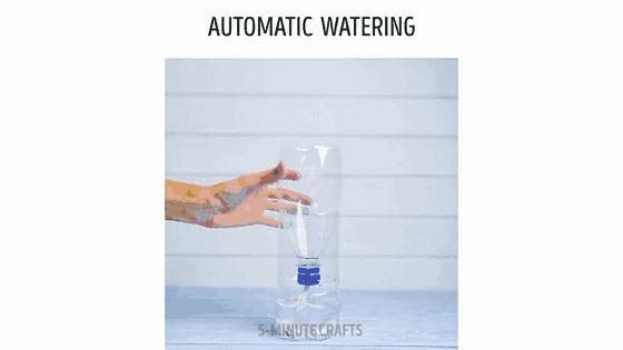 水培蔬菜家庭阳台种菜超简单,不用土在家种菜简单方法