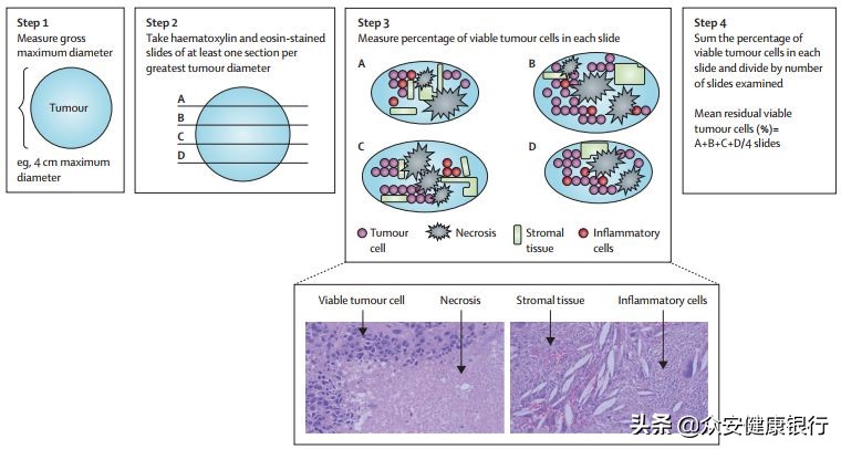 免疫治疗早期肺癌的效果如何,免疫治疗晚期肺癌的治愈率