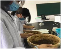 花都校区最新消息,花都10月15日新闻