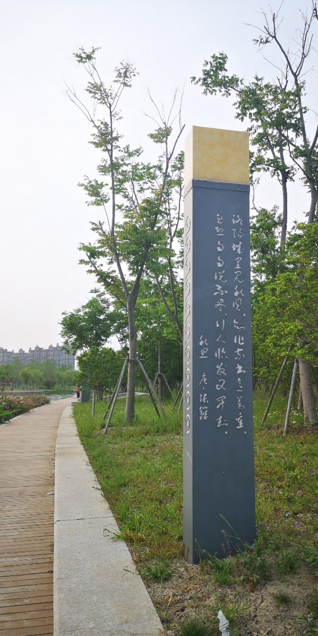 上海奉贤新城的亮点,奉贤南桥镇奉贤新城现状