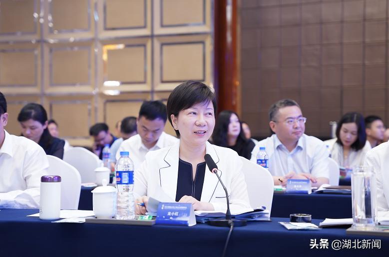 龙小红讲话,龙小红演讲