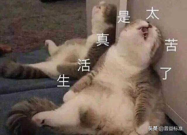 平均月薪6万,金融人平均工资多少