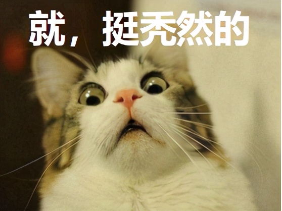 科研人员激动痛哭,头秃的真相