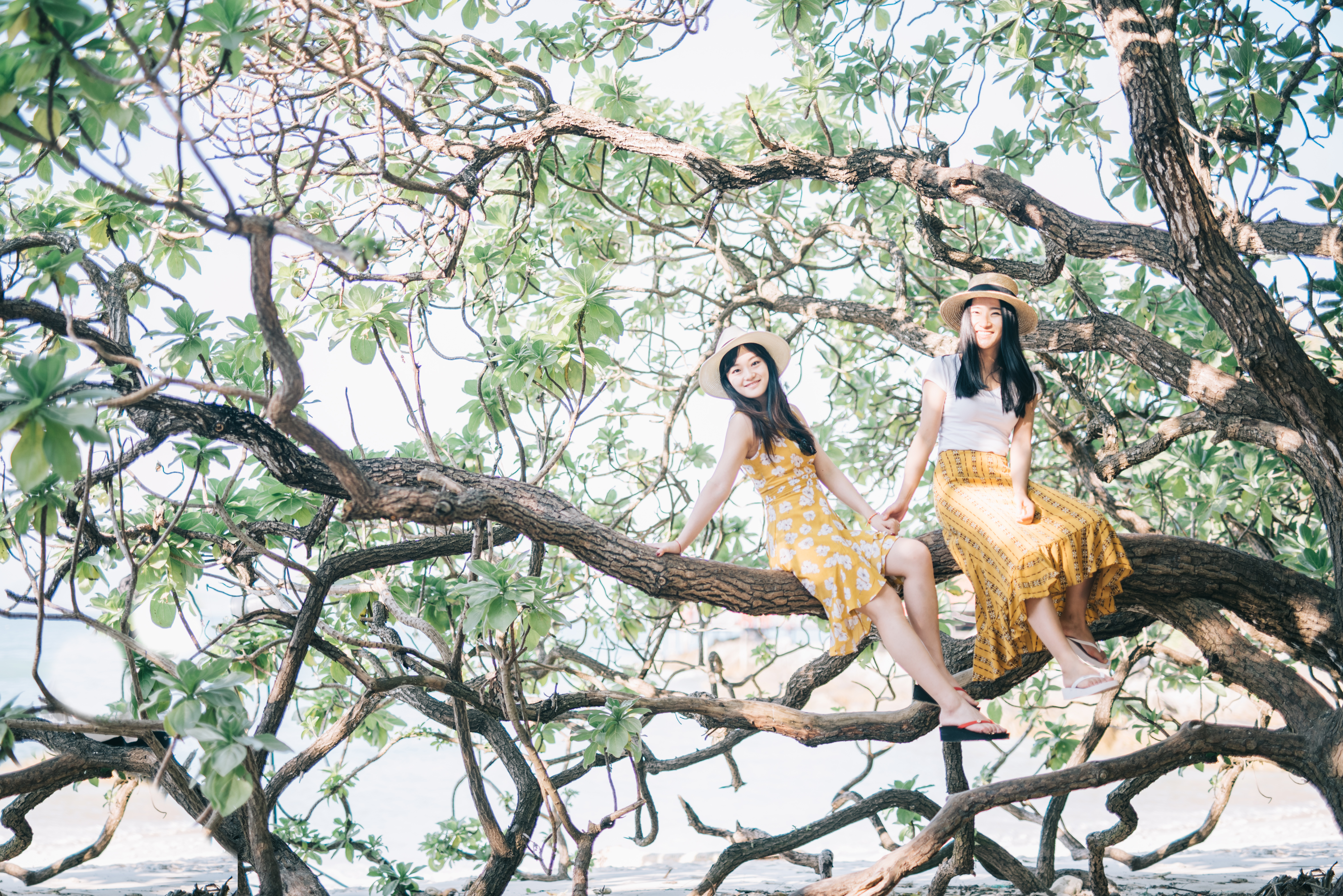 三亚旅游业恢复正常了吗,三亚旅游业恢复到旺季的火爆视频