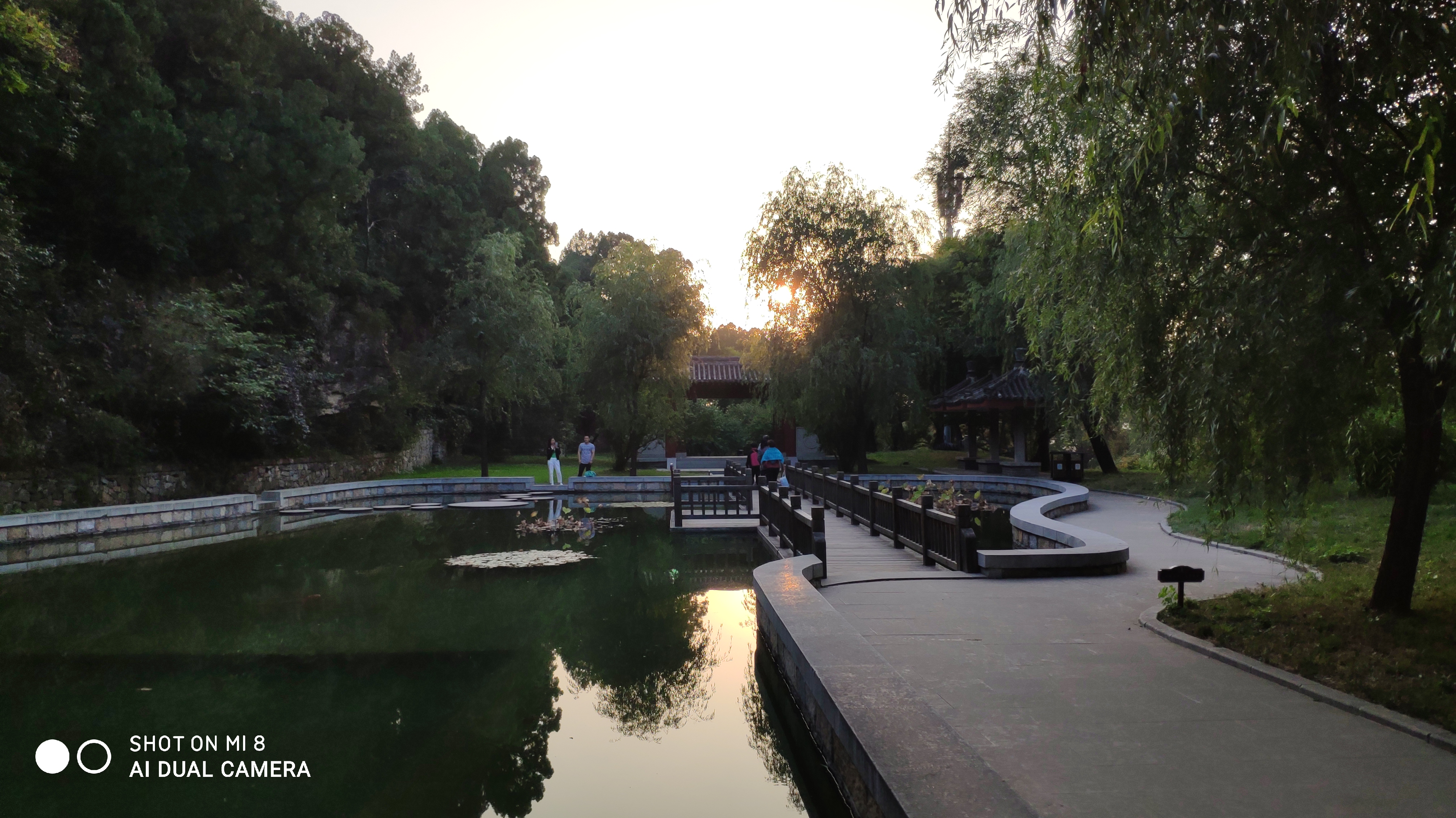 去济南灵岩寺什么必看,济南灵岩寺神树