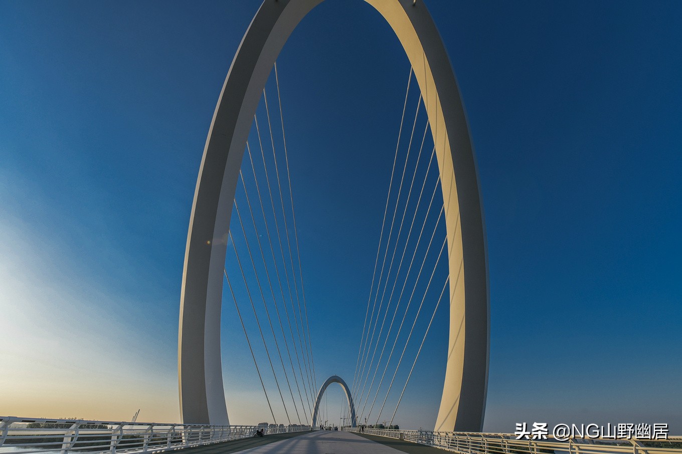 江苏南京:明明可以靠网红上头条,却偏偏靠实力说话