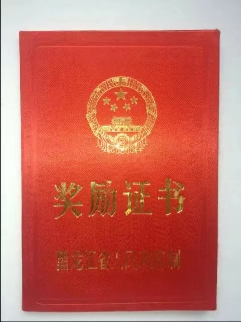 90年代伊春往事,伊春林区往事