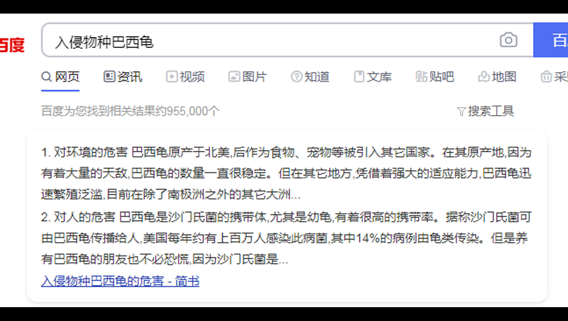 幼年巴西龟图片大全可爱版,巴西龟小时候最可爱的模样