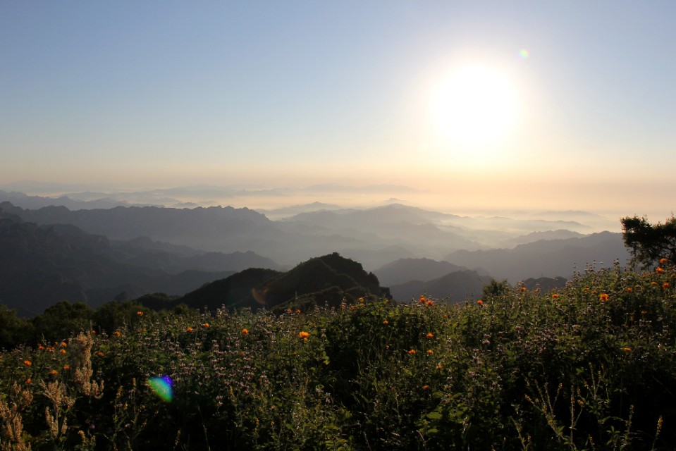 吃在驼梁，体验舌尖上的味道/郝贵云