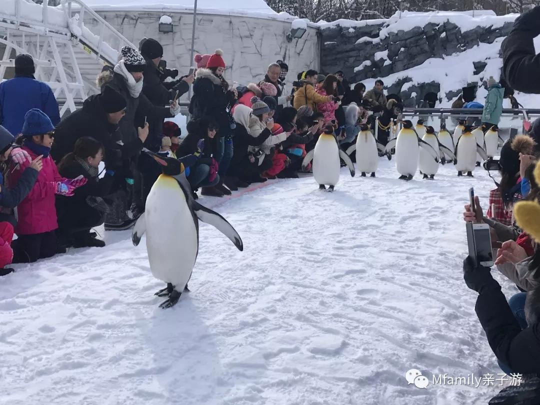 被疫情憋疯小朋友,被疫情憋疯的孩子们