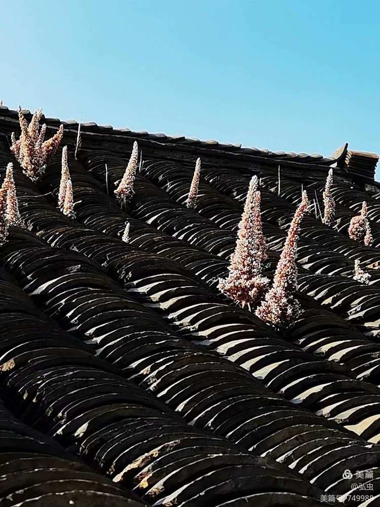 寻找遗忘的古村落,找不回的村庄抹不去的记忆