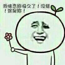 向女生表白表情包图片,向女神表白的表情包