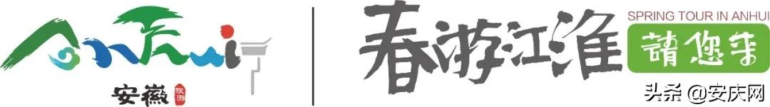 春游江淮请您来︱天柱山海心谷：煮一壶春味品一程人生