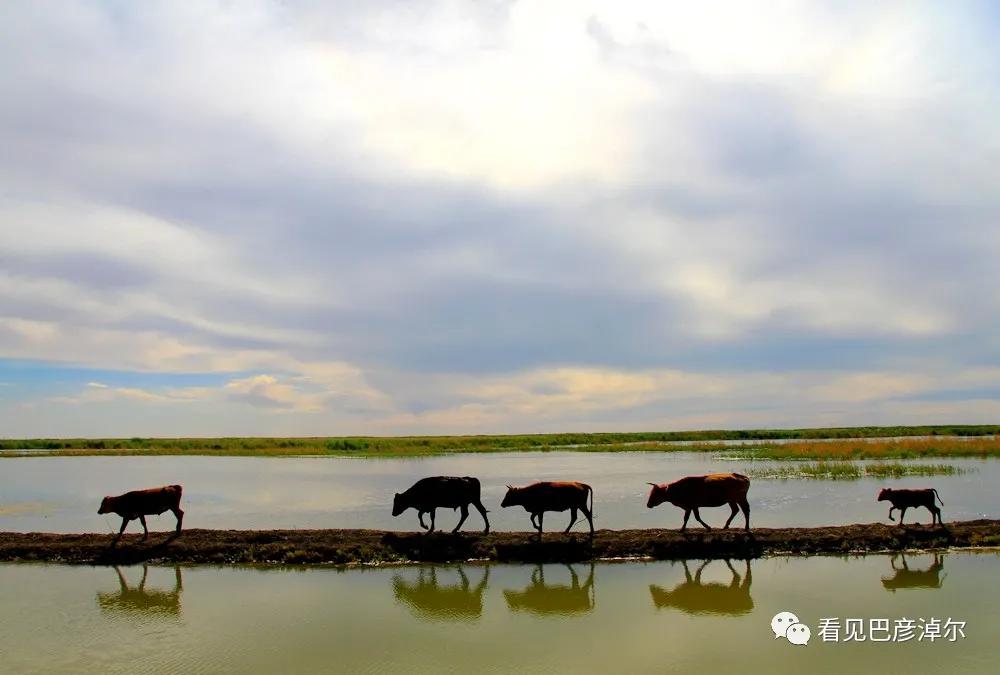 七分钟带你领略大美乌拉特前旗 (带你去看乌拉特前旗)
