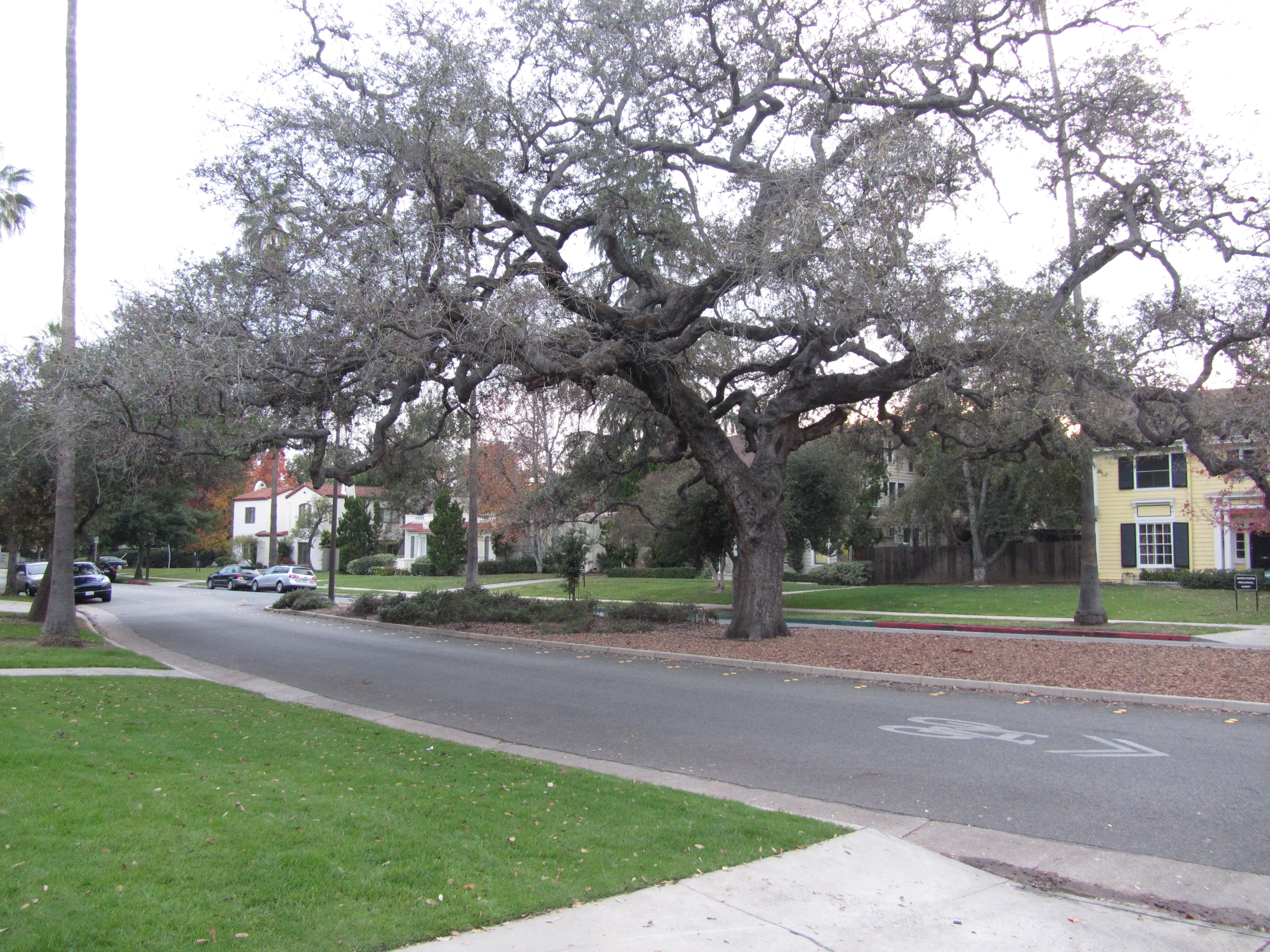 美国人找我要烟抽：美国印象