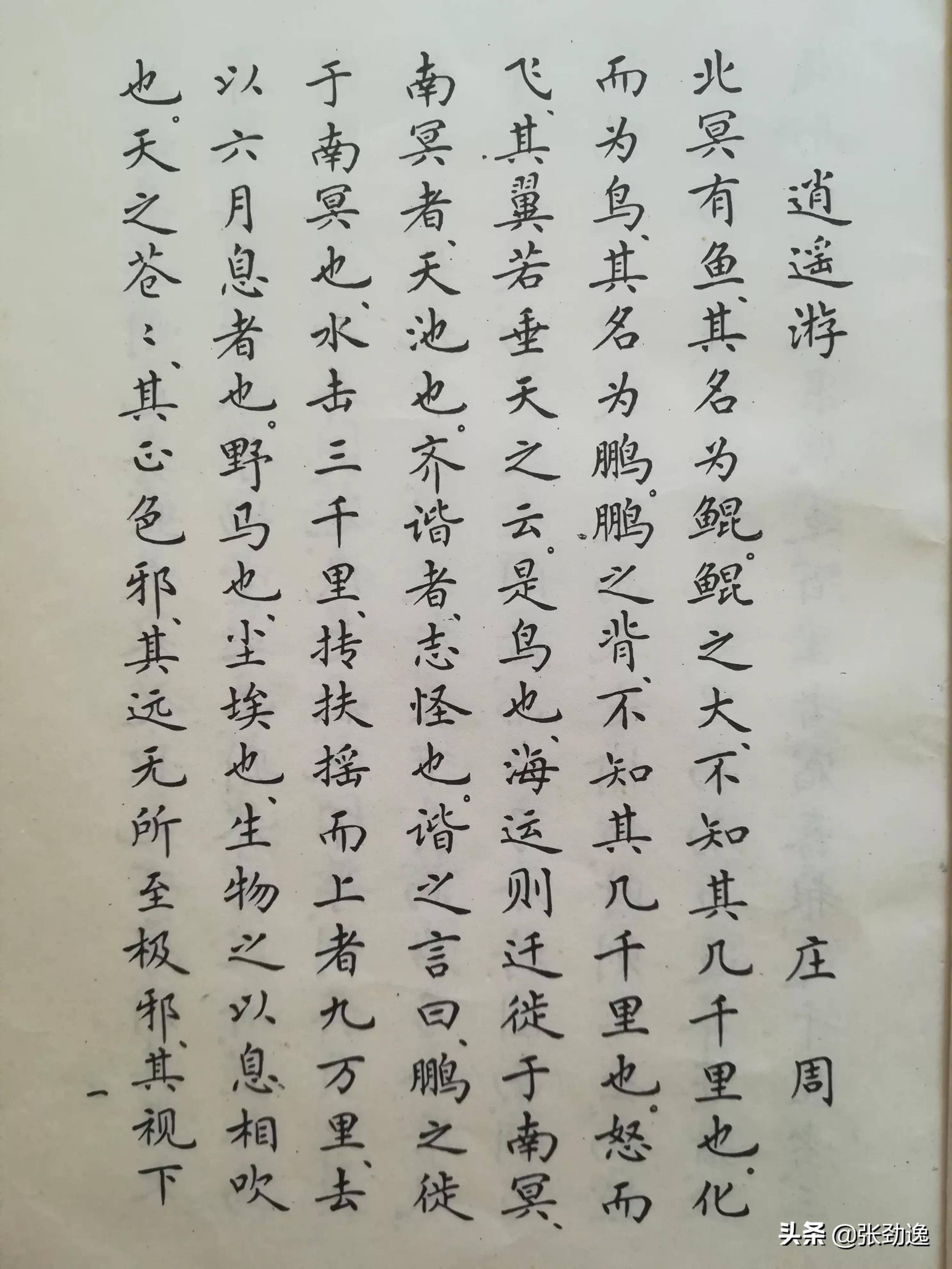 被称为草圣的东汉书法家是谁,当代草圣林散之先生作品及译文