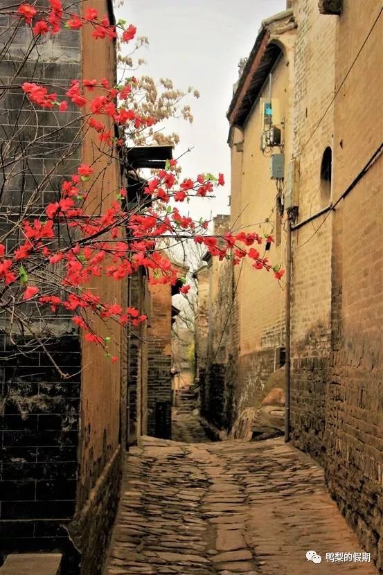 韩城党家村旅游后感受,自驾游走遍中国途中视频