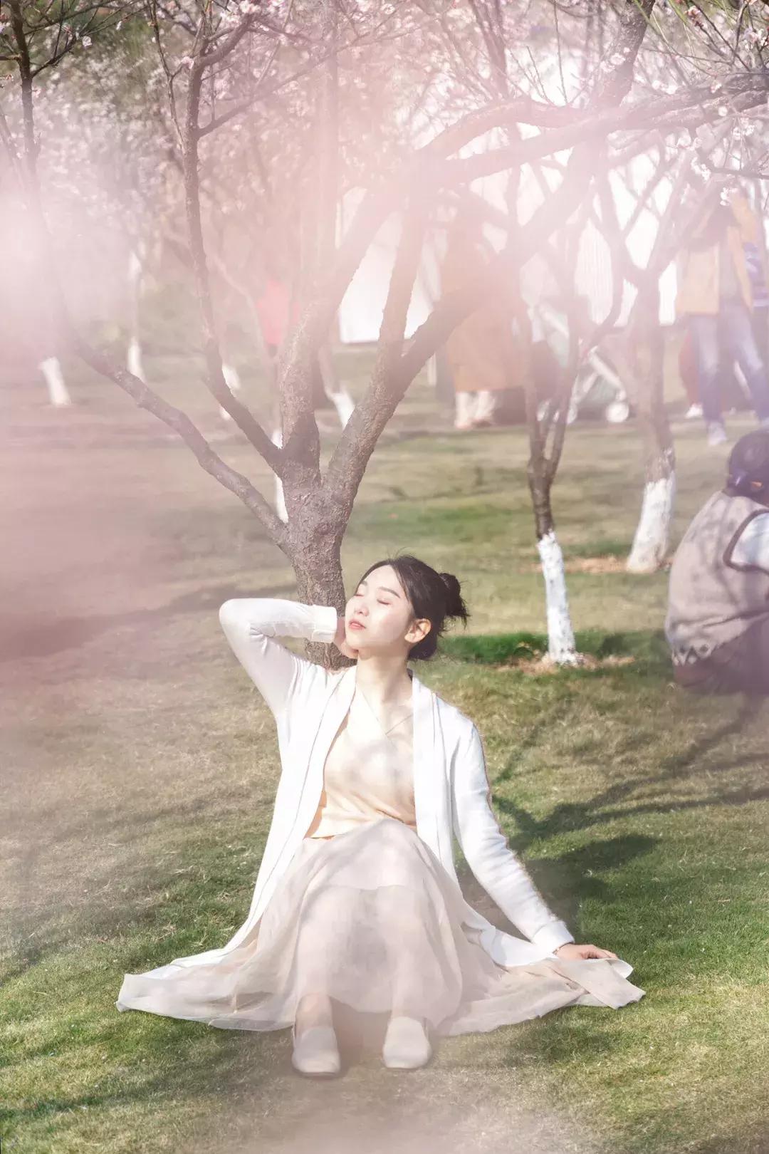 深圳隐秘风景,深圳粉色花海视频