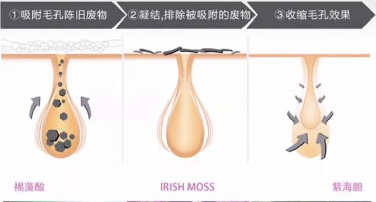 张韶涵护肤三周养皮,燕窝水漾嫩肤精华面膜包文婧