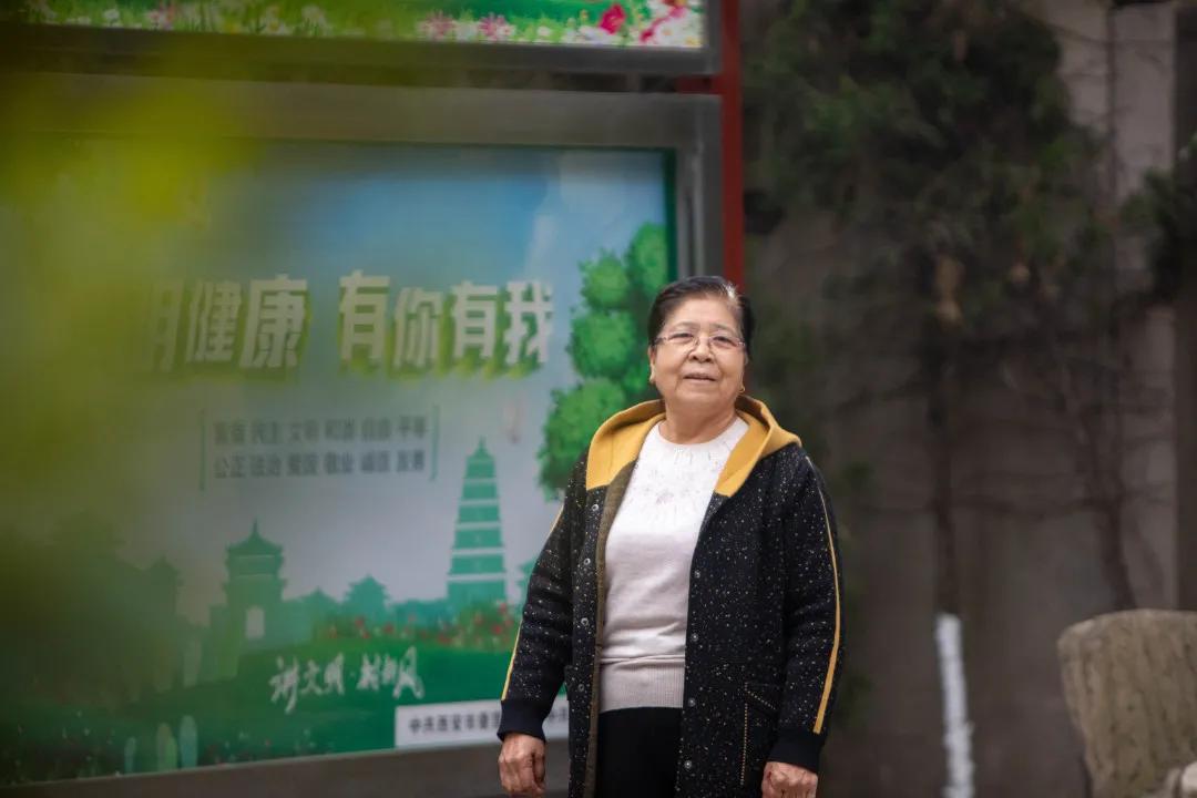 莲湖区晚上哪里可以散步,莲湖晨练