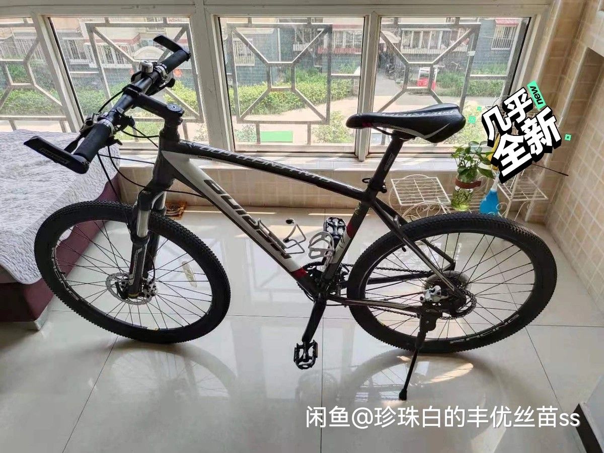 二手挑战者300值不值得入手,二手挑战者600多少钱值得入手