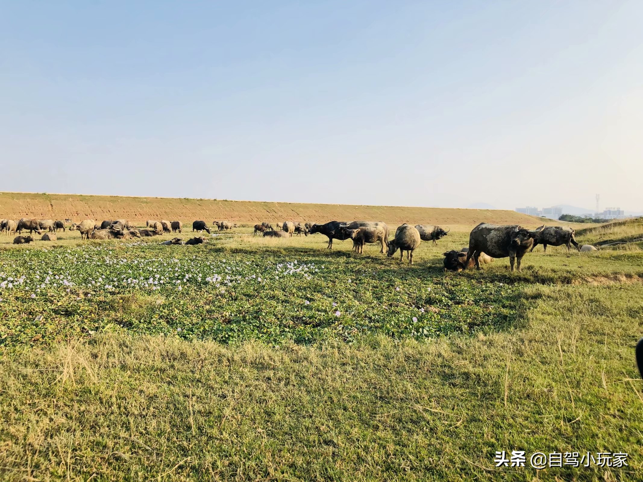 离深圳最近的野营地,深圳周边露营草原景点攻略