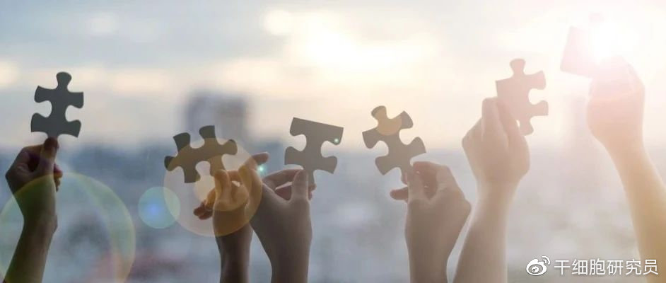 自闭症干细胞治疗方法,治疗自闭症儿童研究的历史成果