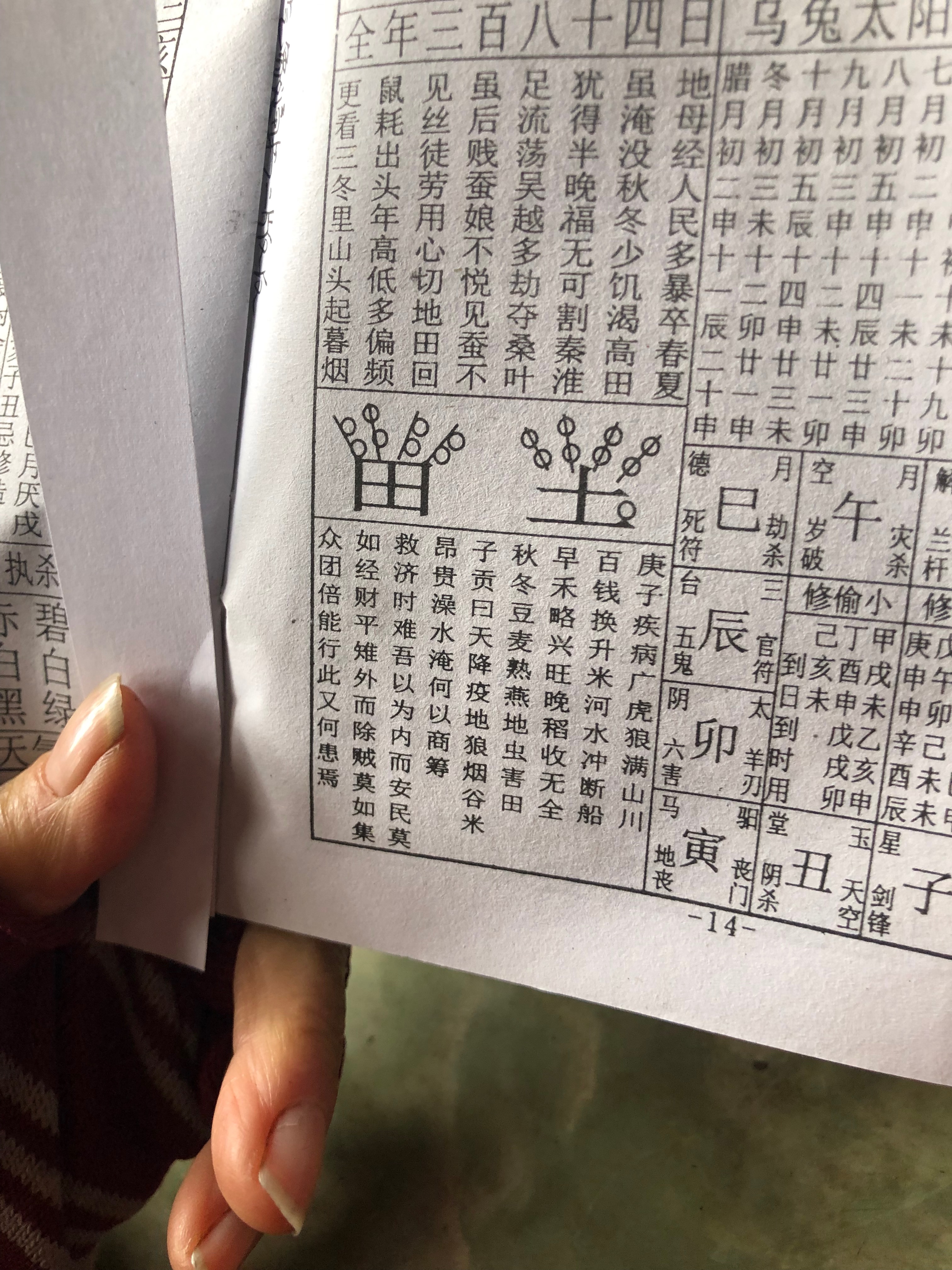 我们见证了历史,我们躺在沙发上