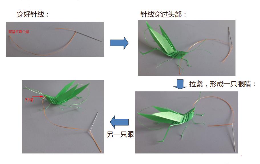 蚂蚱的编织过程图片,蚂蚱的制作方法