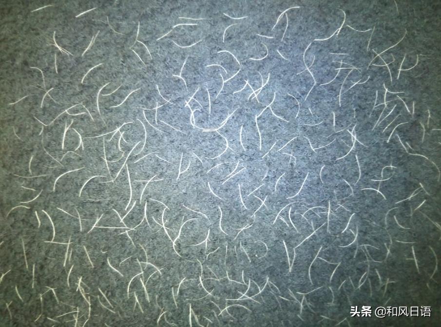 日本拔白头发的店,日本拔白头发神器正品货