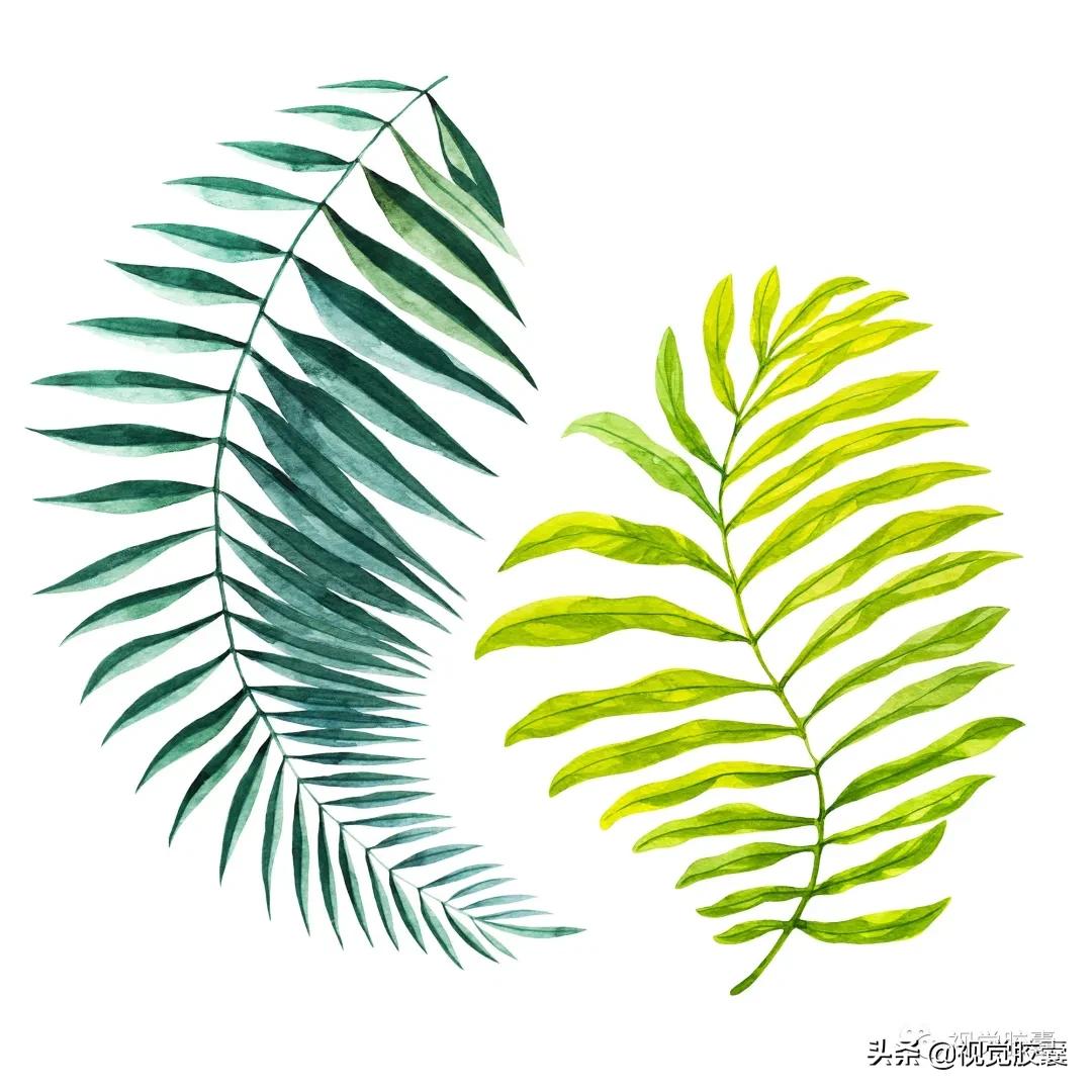 乡村蔬菜大棚的设计,蔬菜精美设计图片