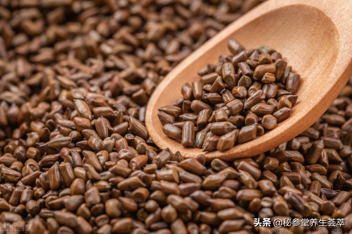 决明子茶喝了会肚子不舒服吗,决明子茶喝多了会拉肚子吗