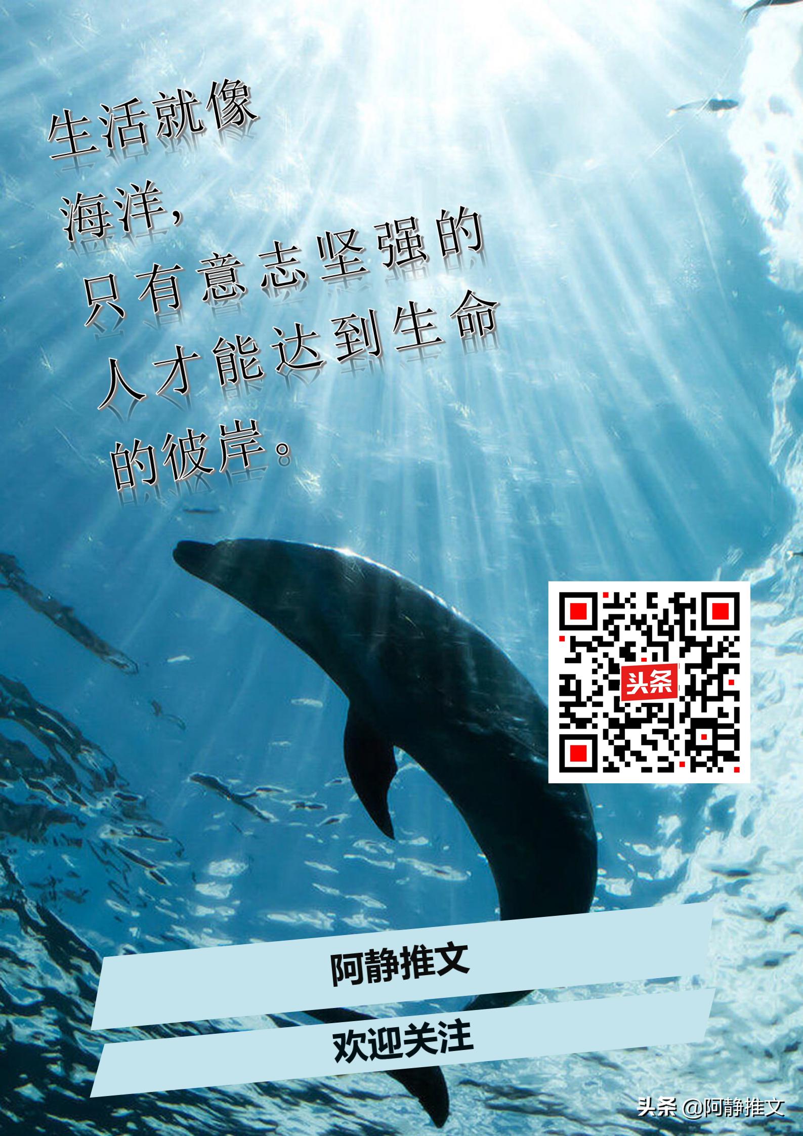 耳雅诡行天下游龙随月顺序,诡行天下小说作者是耳雅