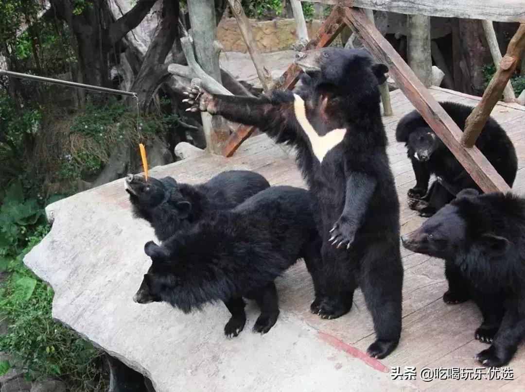 「国庆欢乐提前购」早买优惠！佛山5A长鹿休博园双人套票158元起