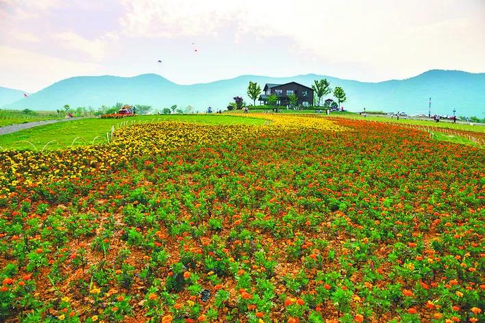 合肥最宜居小区,合肥最宜居的板块