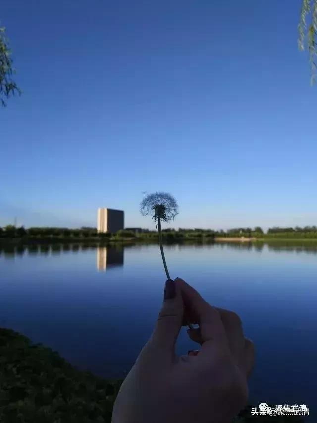 定了!武清这个镇被定为天津市特色文化产业示范镇